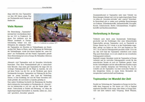 topinambur-buch-praxiswissen-fuer-anbau-und-verwendung-weitere-ansicht